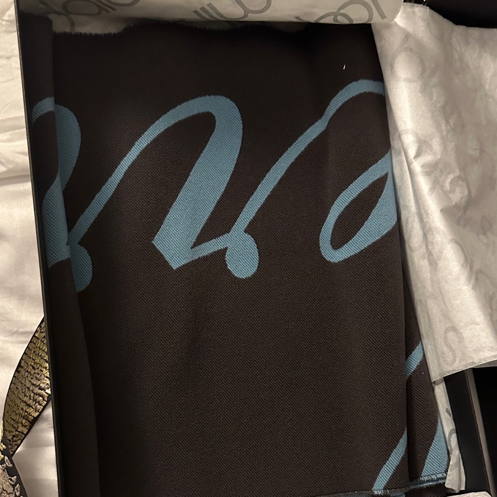 Burberry Dark Brown and Light Blue Scarf